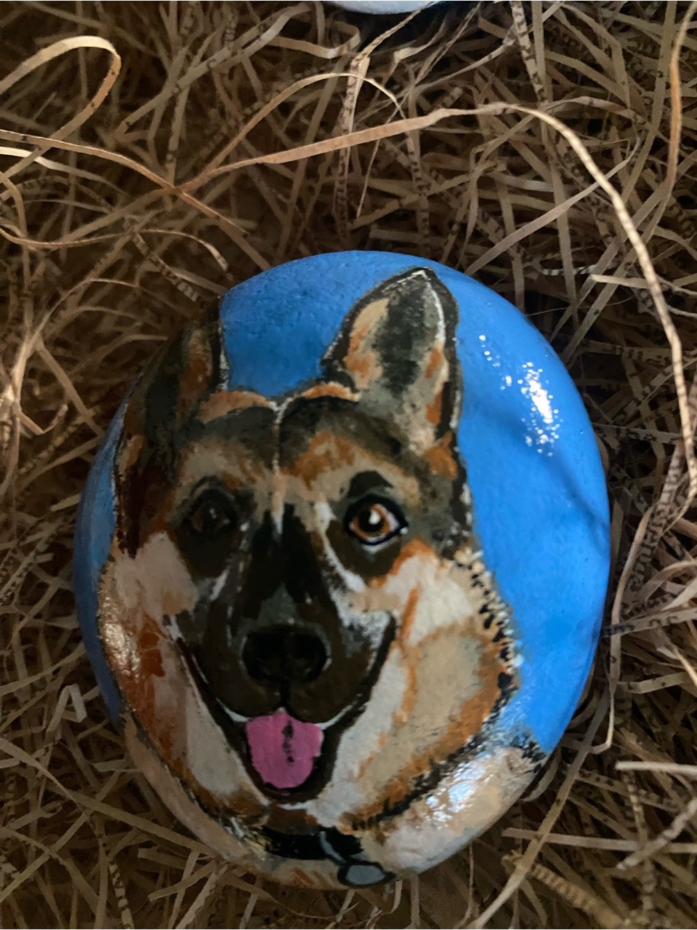 Rock Art German Shepard painting . Sealed and varnished .